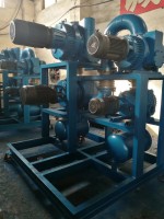 廣東羅茨水環(huán)真空機(jī)組